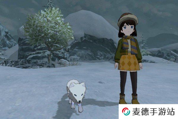 《小森生活》抗寒服装制作方法
