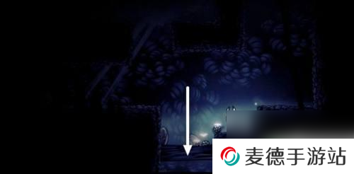 空洞骑士怎么救深巢左特 空洞骑士深邃虫巢左特任务怎么完成