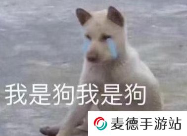 网络用语cwm小国际是什么梗