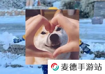 网络用语南方沙糖桔是什么梗