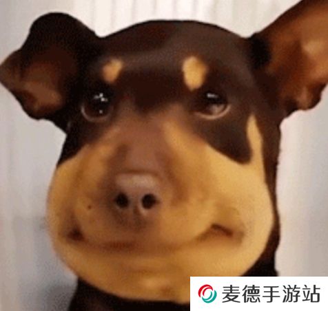 网络用语蜜蜂修勾是什么梗
