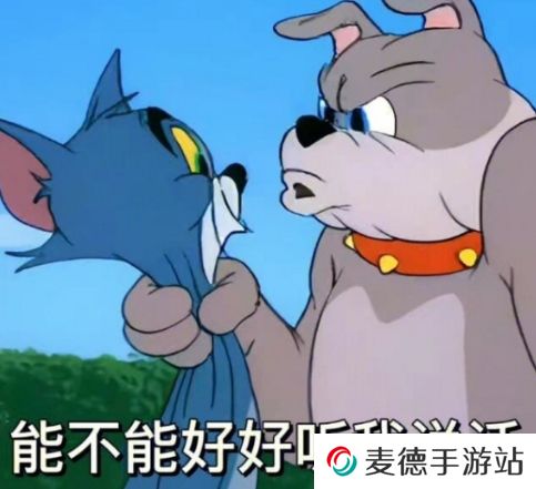 网络用语这是可以说的吗‍是什么梗