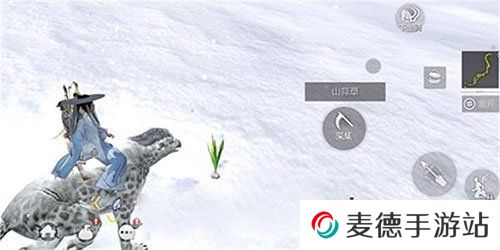 《妄想山海》山蒜粉制作方法介绍