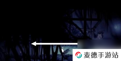 空洞骑士怎么救深巢左特 空洞骑士深邃虫巢左特任务怎么完成