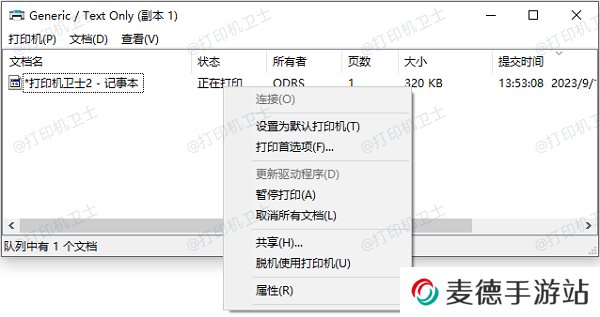打印队列中的错误