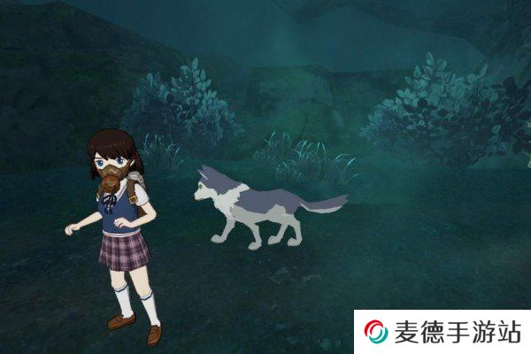 《小森生活》抗毒服装制作方法