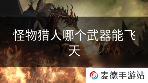 怪物猎人哪个武器能飞天