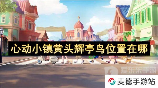 心动小镇黄头辉亭鸟在哪出没 黄头辉亭鸟位置