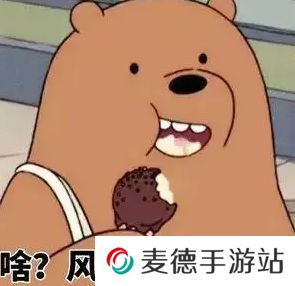 网络用语风太大我听不见是什么梗