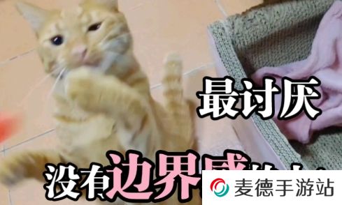网络用语讨厌没有边界感的人是什么梗