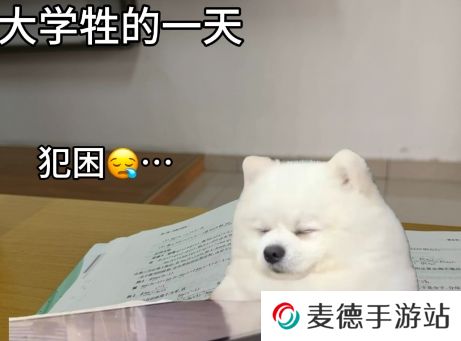 网络用语大学牲是什么梗