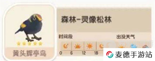 心动小镇黄头辉亭鸟在哪出没 黄头辉亭鸟位置