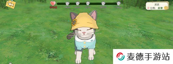 《小森生活》猫咪服饰获取攻略