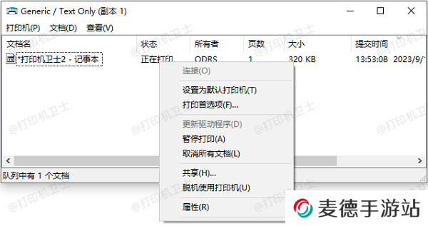 检查打印机状态和设置