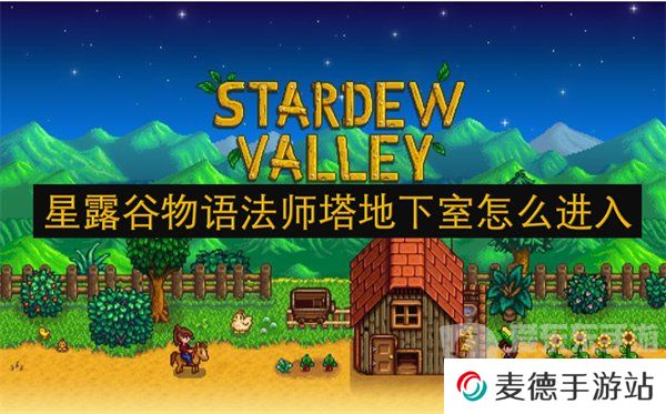 星露谷物语法师塔地下室怎么进入 法师塔地下室进入方法