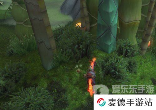 魔兽世界战斗宠物宾果任务怎么做 魔兽世界战斗宠物宾果任务攻略
