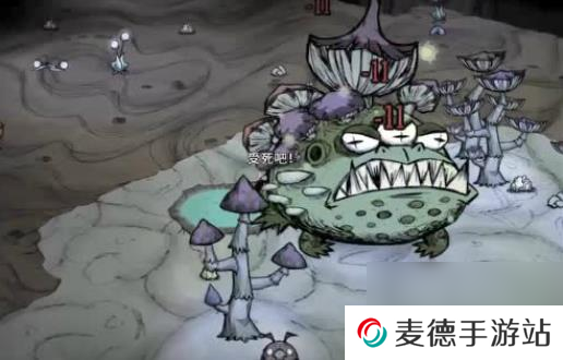 饥荒蜘蛛人怎么打蜘蛛？饥荒攻略介绍