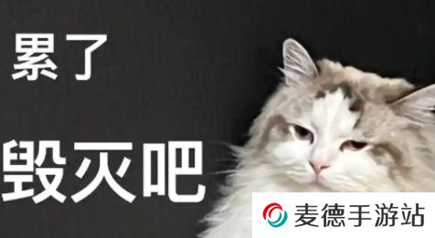 网络用语非主动颓废是什么梗