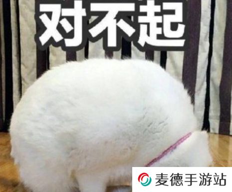 网络用语寸不已是什么梗