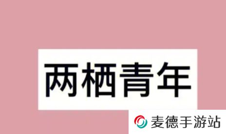 网络用语两栖青年是什么梗