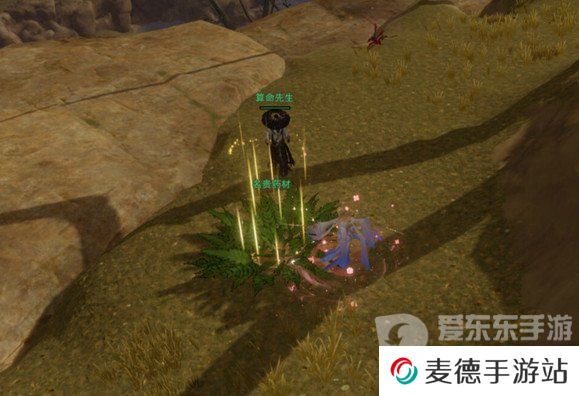 剑网3茸茸怎么获取 茸茸获取方法