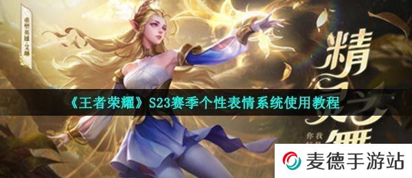 《王者荣耀》S23赛季个性表情系统使用教程