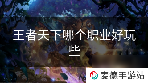 王者天下哪个职业好玩些