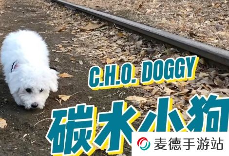 网络用语碳水小狗是什么梗