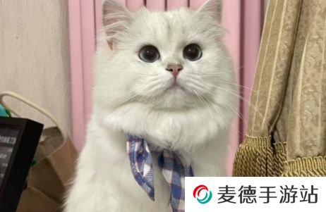 网络用语团宠酸奶妹是什么梗