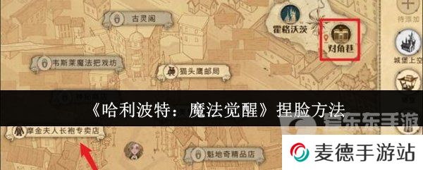 哈利波特魔法觉醒捏脸怎么改 捏脸方法