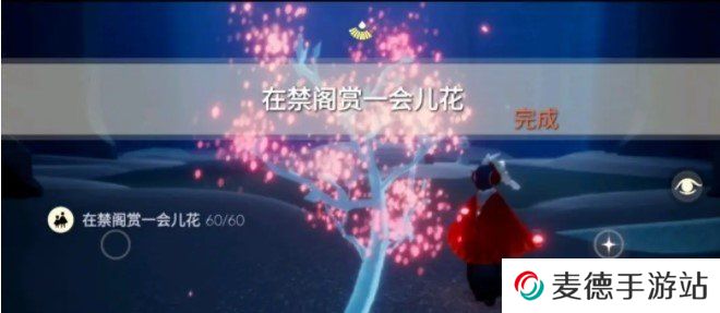 《光遇》2021年4月7日每日任务完成攻略