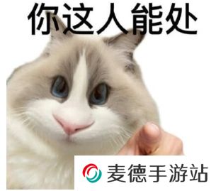 网络用语这人能处有事真上是什么梗