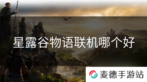 星露谷物语联机哪个好