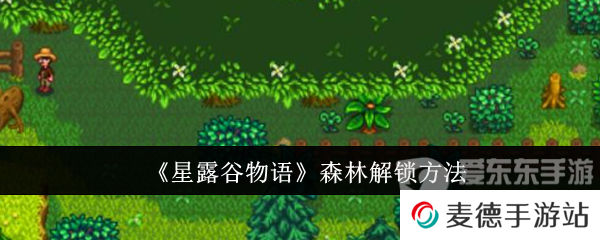 星露谷物语森林怎么解锁 森林解锁方法介绍