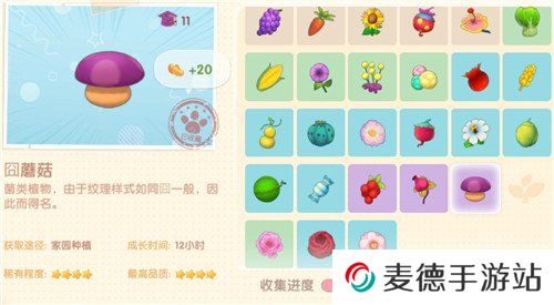 《摩尔庄园》搜不到好友ID解决方法介绍