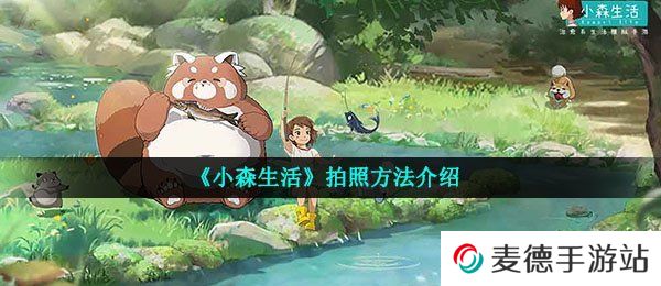 《小森生活》拍照方法介绍