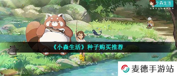 《小森生活》种子购买推荐