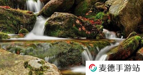 2021《支付宝》蚂蚁庄园4月14日每日一题答案