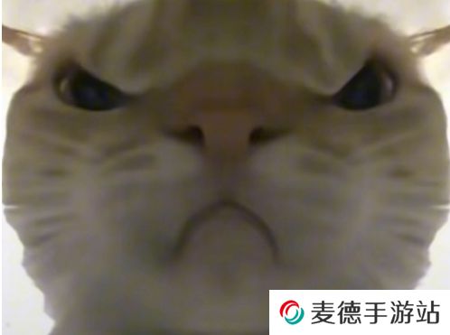 网络用语鼠鼠猛攻是什么梗