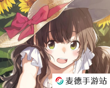 p站破解版(pixiv解锁高级会员版) p站破解版(pixiv解锁高级会员版)