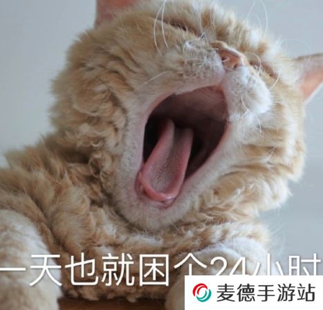 网络用语英年早困是什么梗